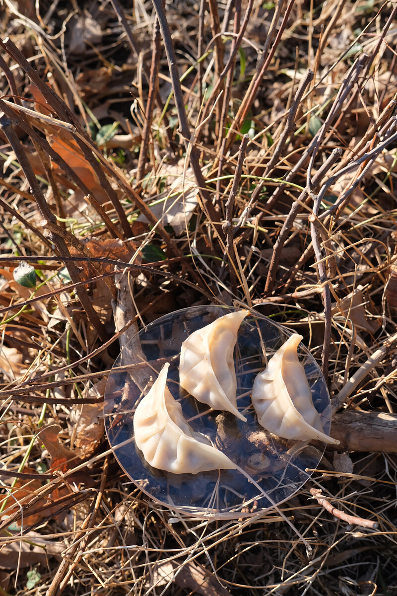 Three dumplings placed on a circular clear disk within a field of dried leaves and twigs.
